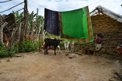 DSC_4692 (Large).JPG